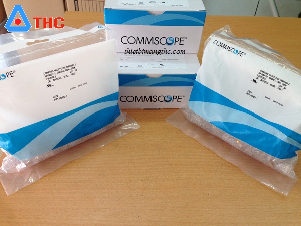 Hạt mạng commscope RJ45 Cat6